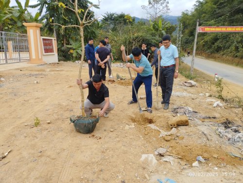 Tết trồng cây.jpg